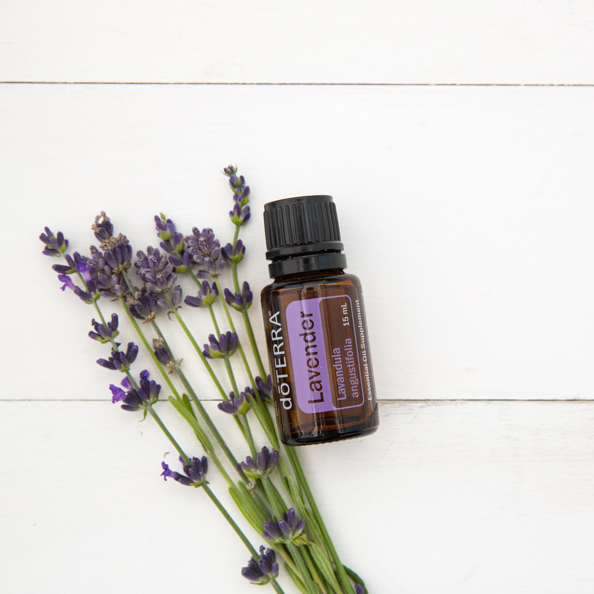 Lavender Essential Essential Oil